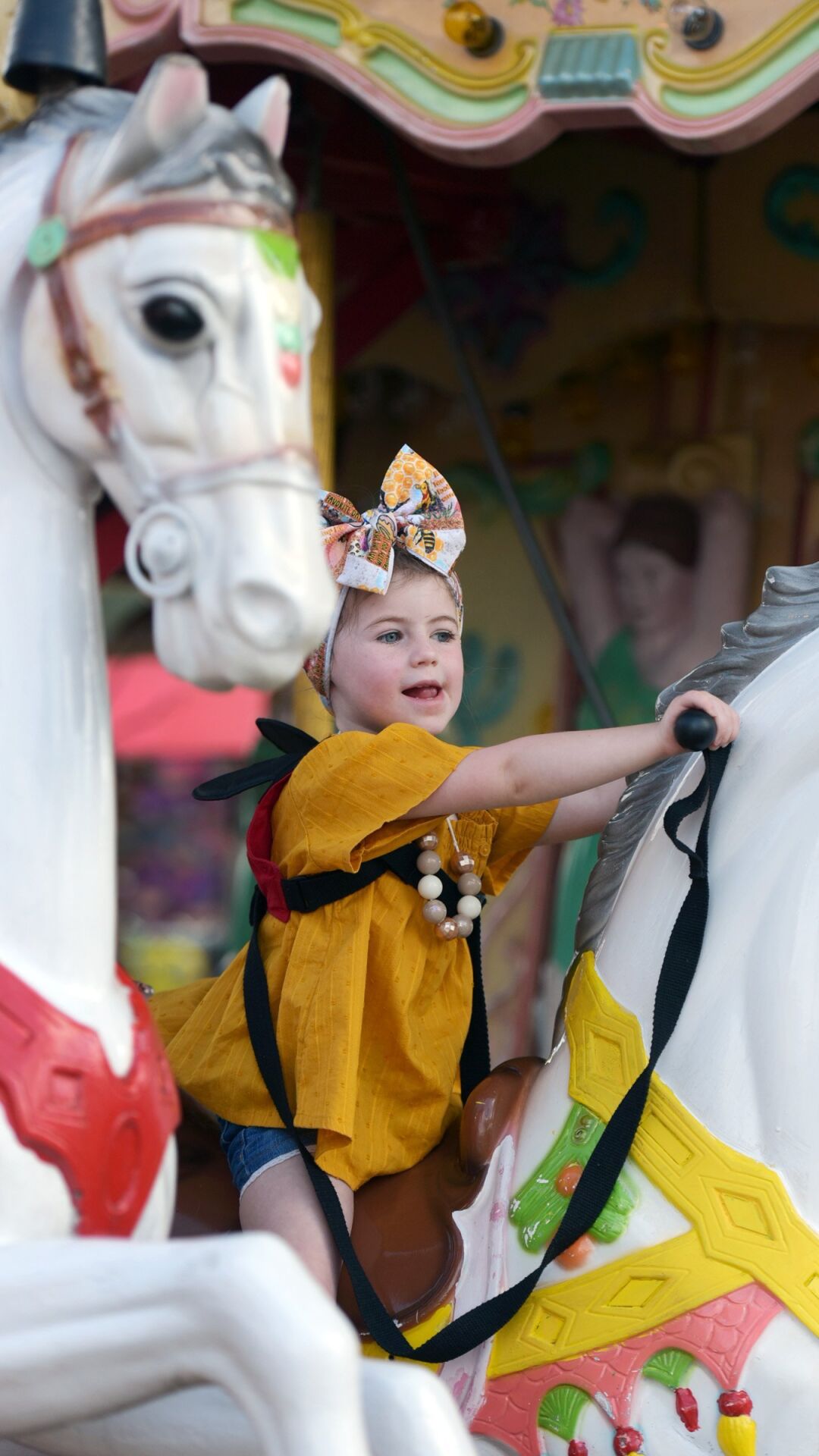 Carolina Classic Fair